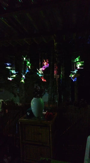 A9e9ed217774e4ade8f1f5b22c599e87bc.jpg